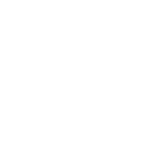 Computer Icon